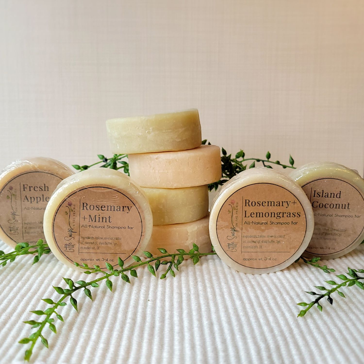 Shampoo Bars
