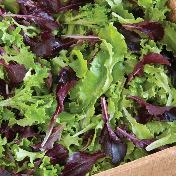 Salad Mix, 8 oz.