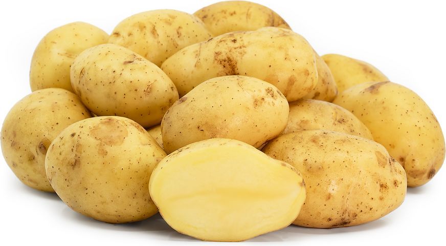 Potatoes - Nicola