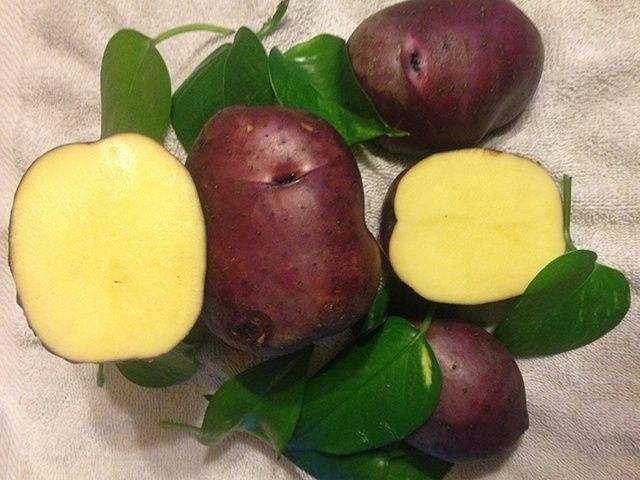Potatoes - Huckleberry