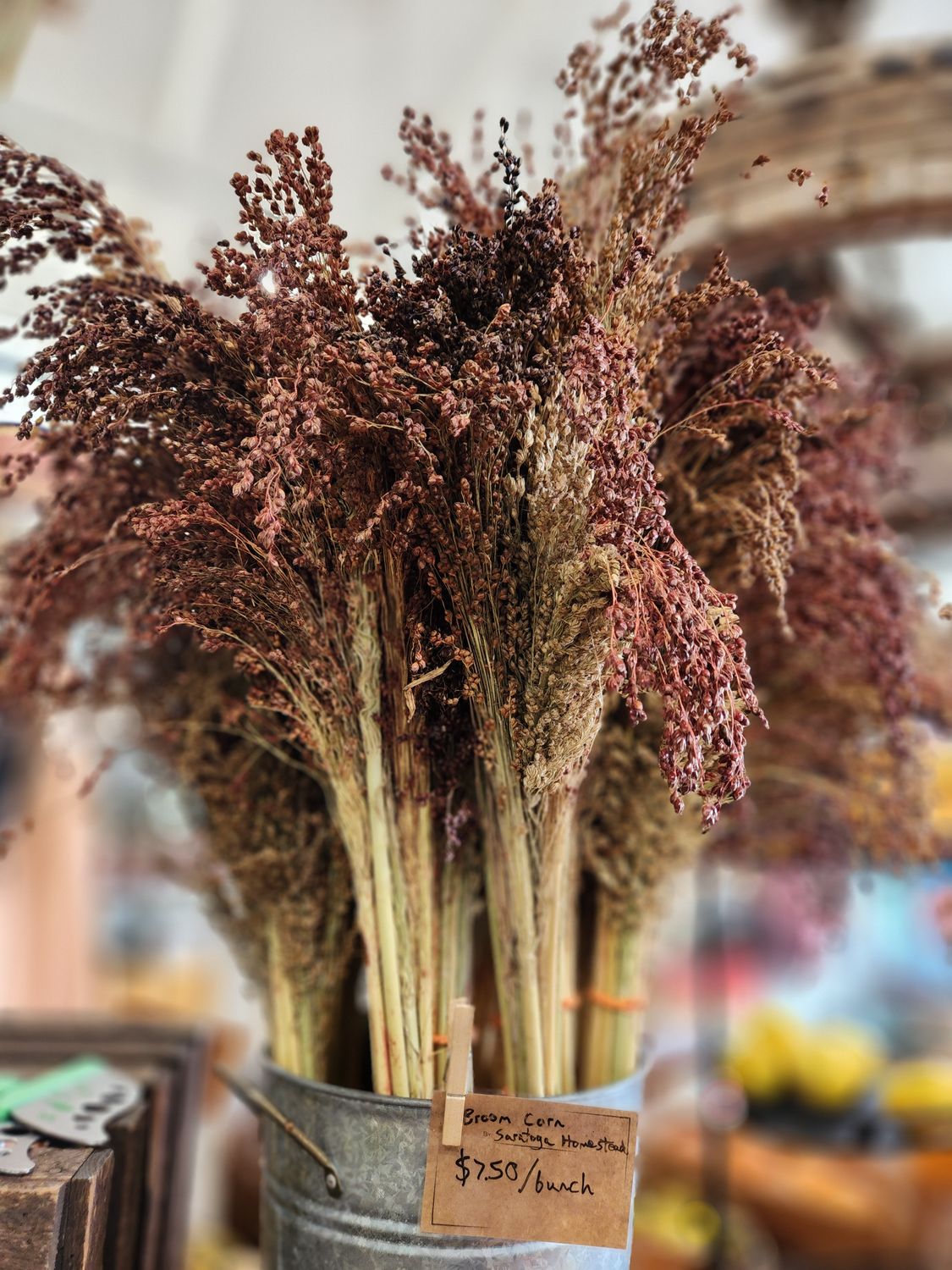 floral - broomcorn