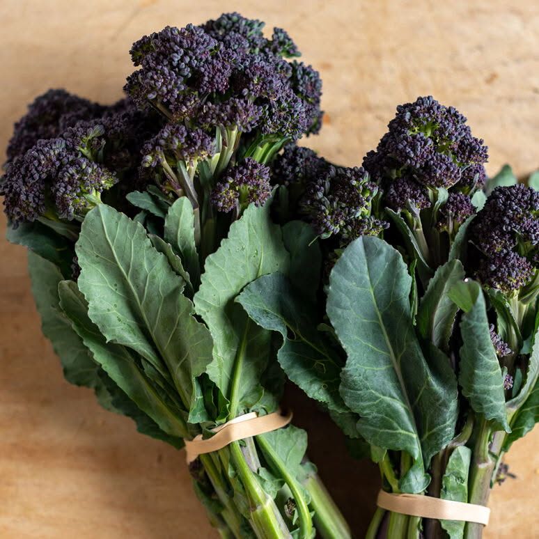 broccolini, bunch