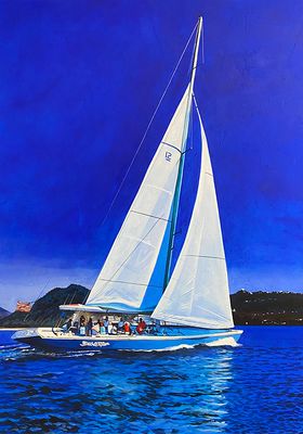 Stars And Stripes On Sint Maarten