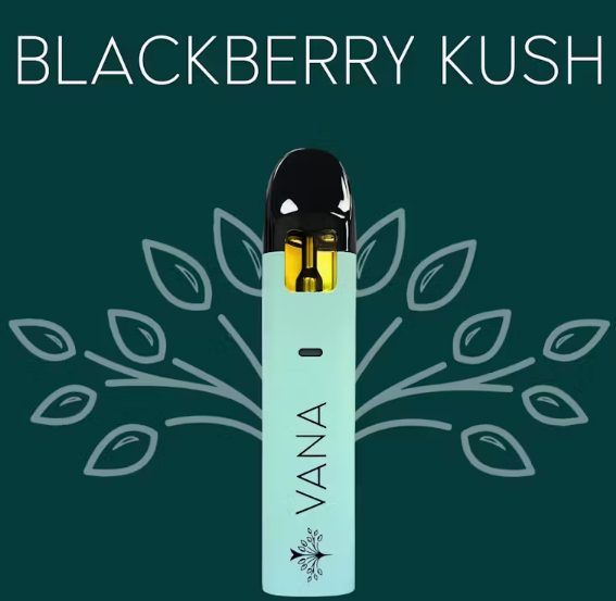 Vana | Blackberry Kush | 2g Disposable