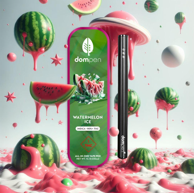 Dom | Watermelon Ice | 1g Disposable