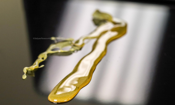 42 Days | Apple Fritter | 1g Shatter