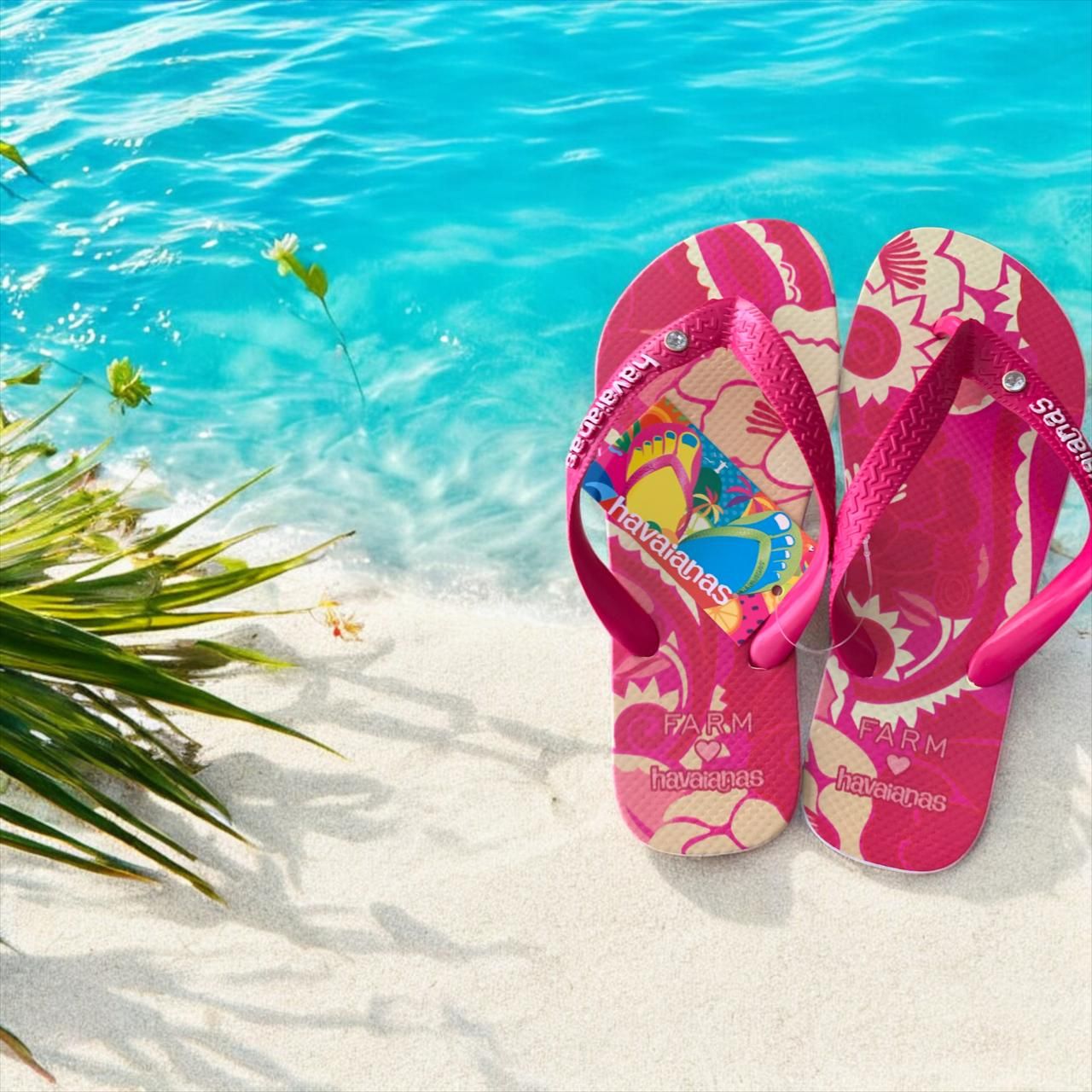 Havaianas Holler Feminino
