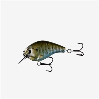13 Fishing Scamp Square Bill Crankbait, Color: Rusty Bream, Diving Depth: 1-3 ft