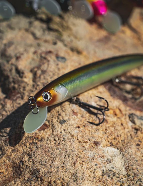 Daiwa HMKL Minnow Steez Custom