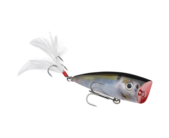 View of Hard Topwater Baits