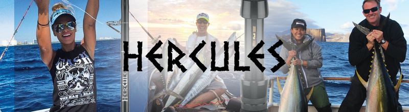 Seeker Hercules Conventional Rods