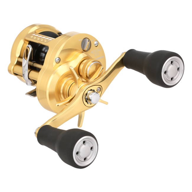 Shimano Calcutta Conquest MD Conventional Reels
