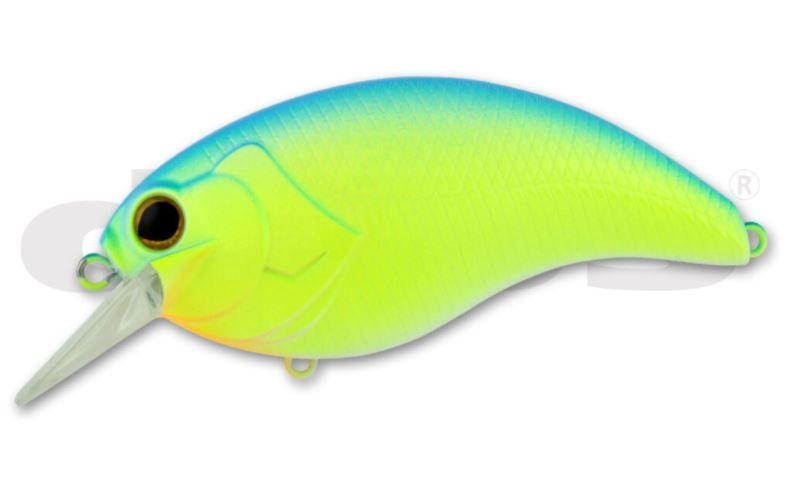 Deps Evoke 4.0 Square Bills