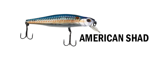 G-Ratts Baits Jerkbaits