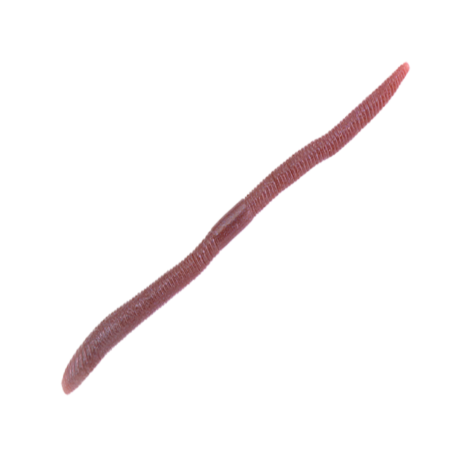 Jackall Flick Shakes JDM Formula