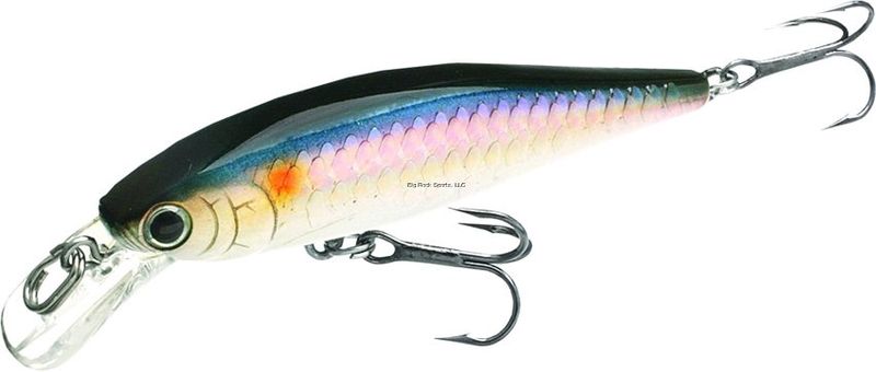 Lucky Craft Pointer 65 Jerkbaits