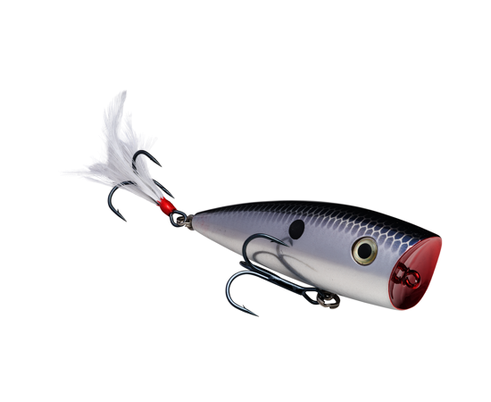 Strike King KVD Splash Topwater, Color: Chrome Blue