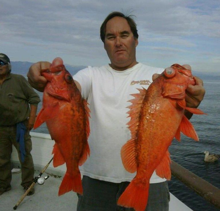 June 20th, 2026 - 3/4 Day Charter w/Gentleman Sportfishing