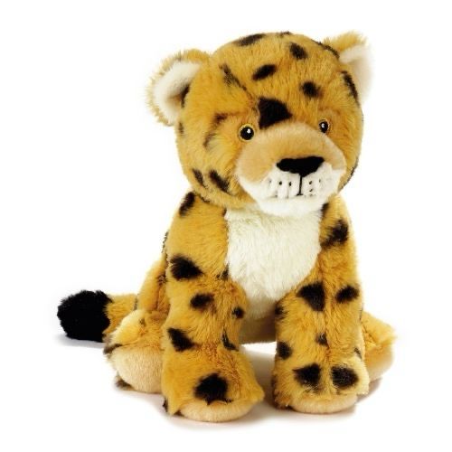 Cheeta