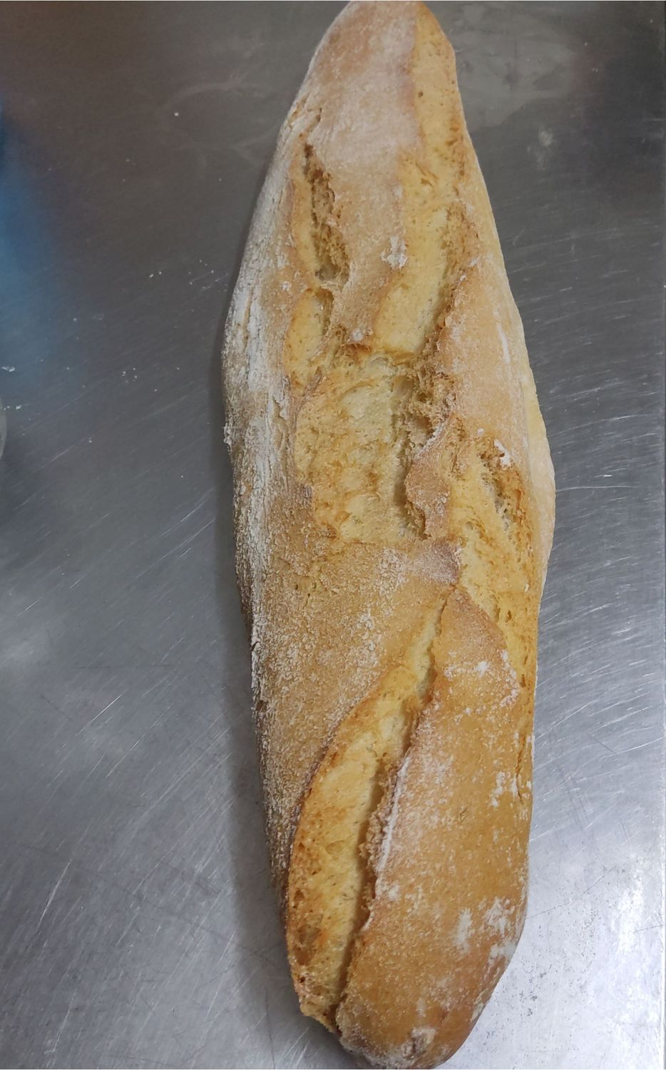 Barra gallega