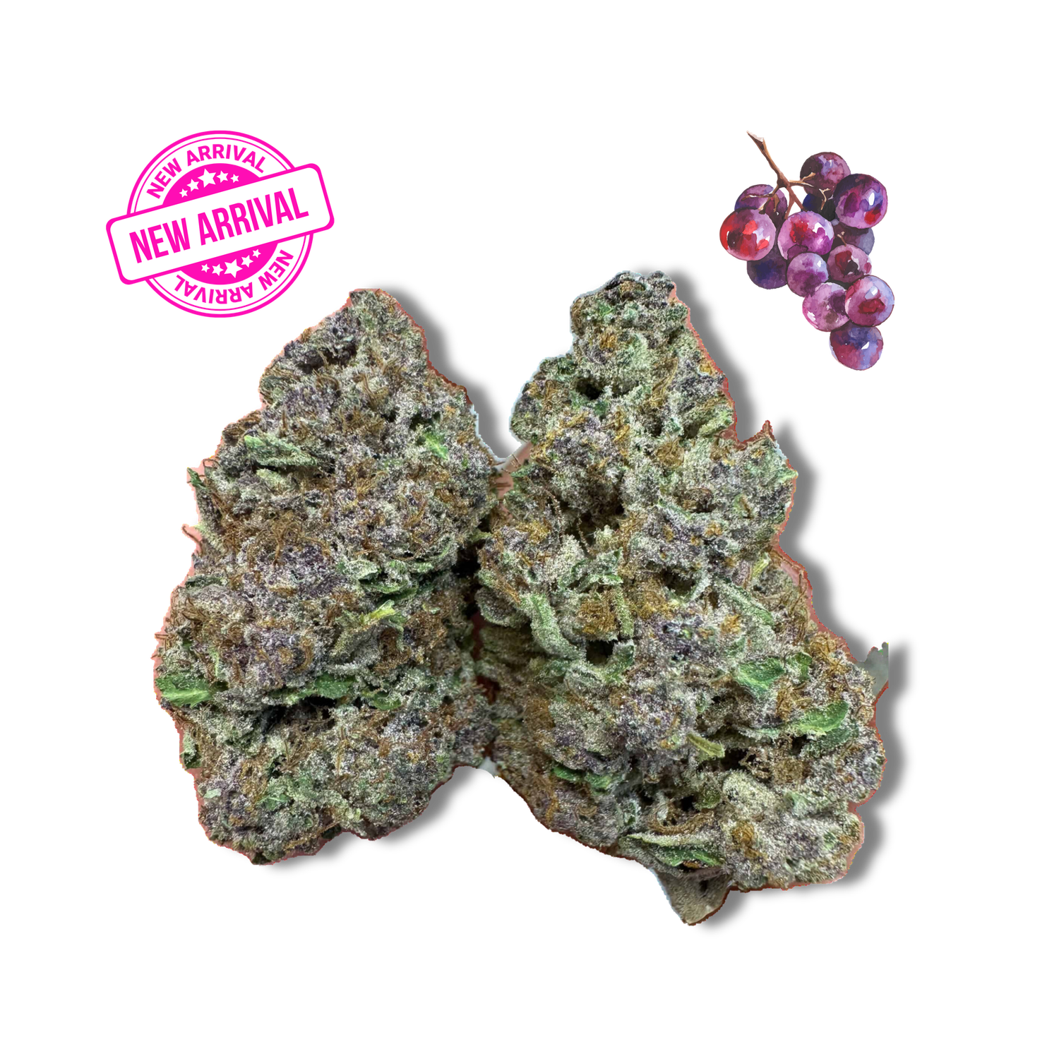 Grape GMO - Gold Tier- THCa(28.56%)- Hybrid