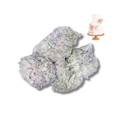 Wedding Cake x Kush  Mintz - THCa – (28.43%)