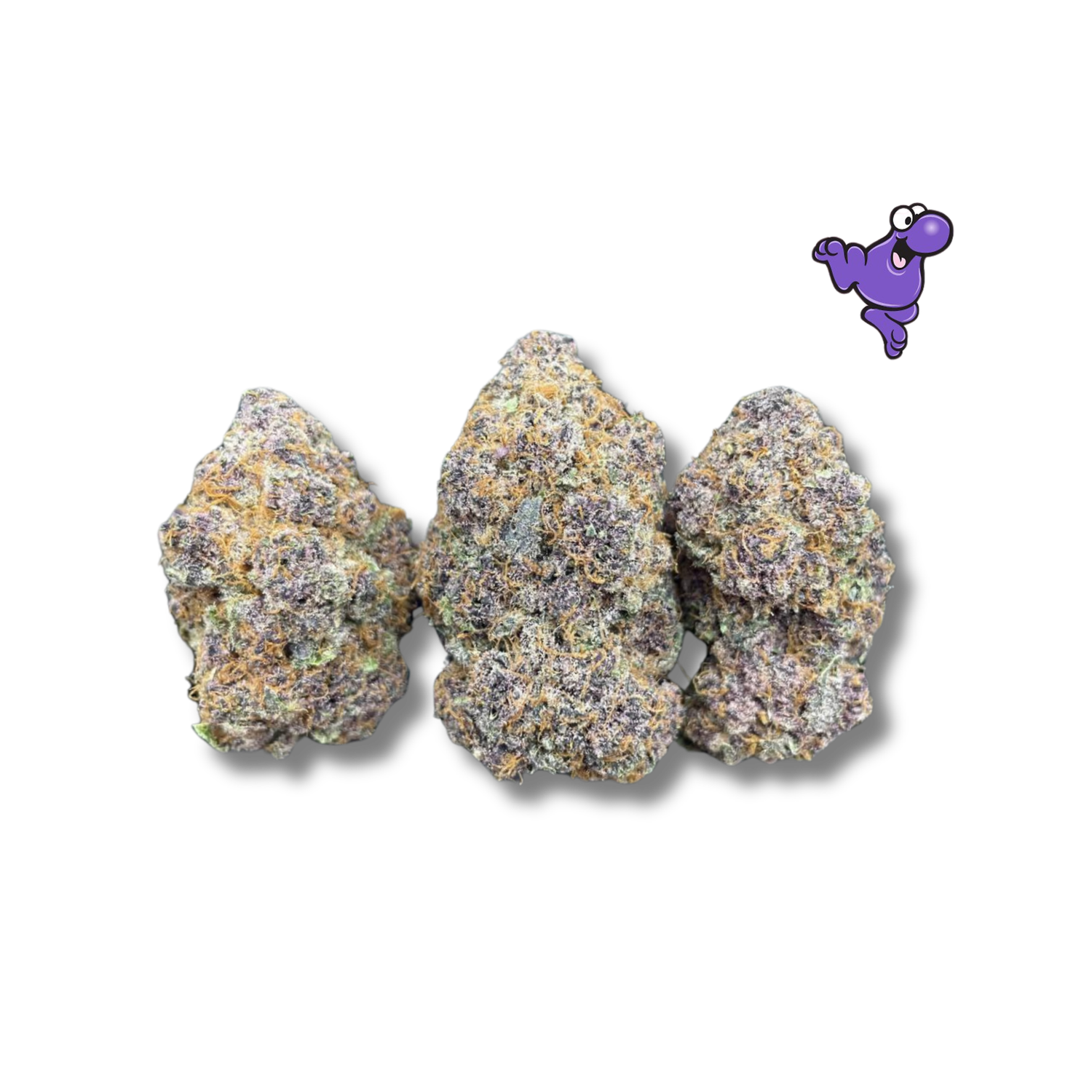 PURPLE NERDS  *INDOOR EXOTIC* - THCa (30.75%)