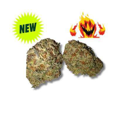 DANTES INFERNO - Indoor Exotic - THCa - (25.14%)