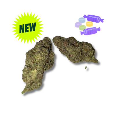 PURPLE RUNTZ - Indoor Exotic - THCa - (29.51%)