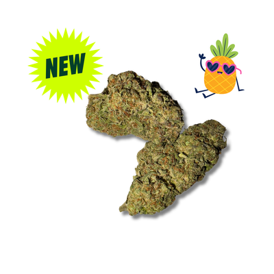 PINEAPPLE BREEZE - Indoor Exotic - THCa - (31.00%) w 1