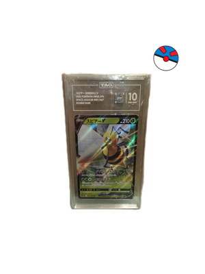 Beedrill V Pokémon card(TAG 10 graded)-01/67
