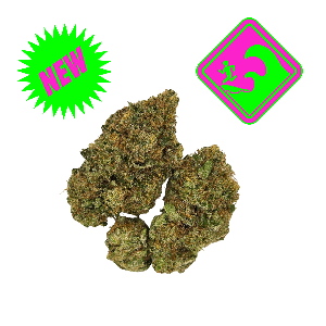Animal Tsunami-Indoor Exotic-THCa-(26.95) Indica