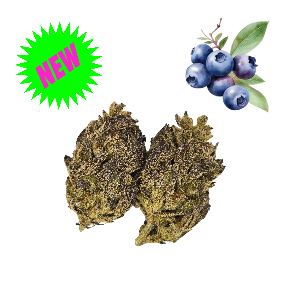 Huckleberry(Silver Tier) THCa - (24.75%)