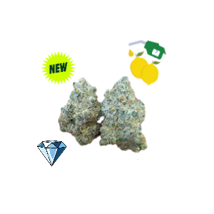 Sour Diesel- Indoor Exotic- Diamond Tier- THCa (33.03%) - Sativa