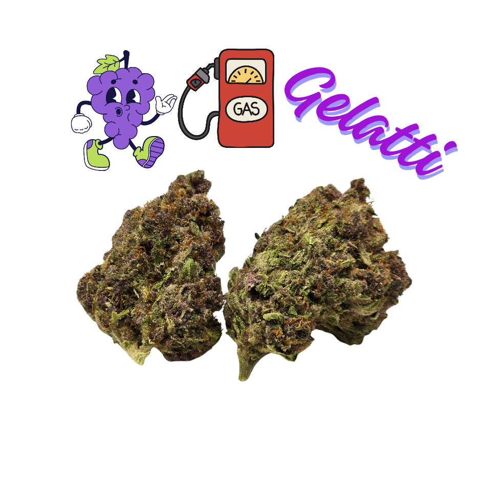 Grape Gas Gelatti - Diamond Tier- THCa(30.88%) Sativa