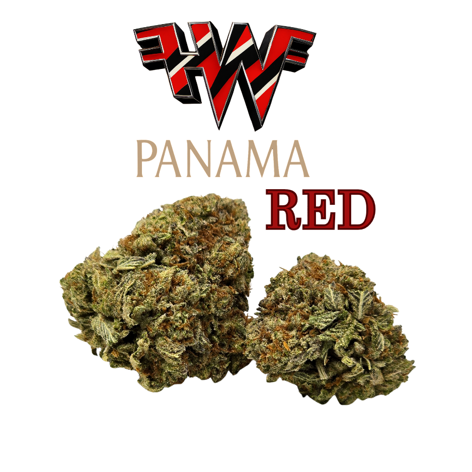 Panama Red- Gold Tier-THCa(30.76%) - Sativa