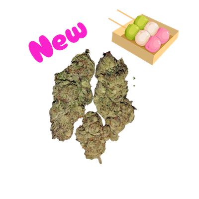 Mochi- Gold Tier- THCa(28.5%)- Indica