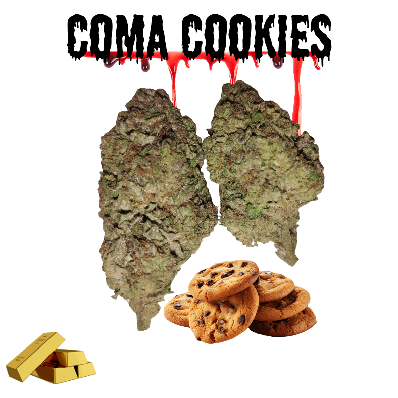 Coma Cookies-Gold Tier-THCa (33.8%)- Hybrid