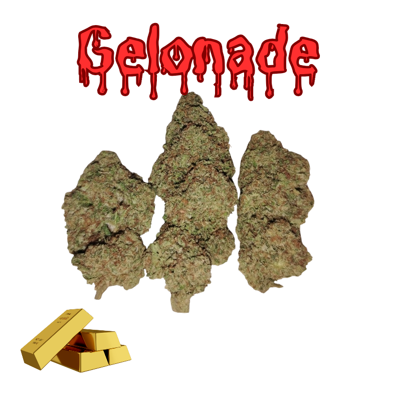 Gelonade-Gold Tier-THCa(28.2%)-Hybrid