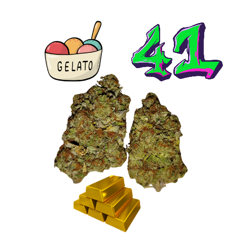 Gelato #41-Gold Tier-THCa (29.6%)-Hybrid
