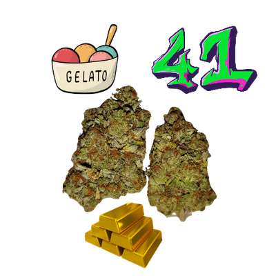 Gelato #41-Gold Tier-THCa (29.6%)-Hybrid