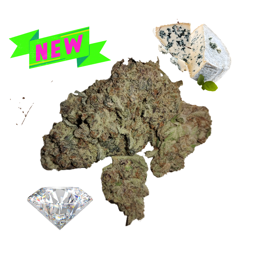 Blue Cheese- Diamond Tier- THCa- Indica
