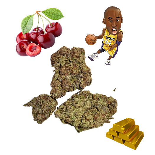 Cherry Mambaz-Gold Tier-THCa-Hybrid