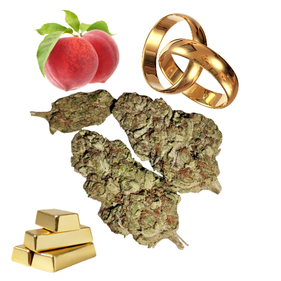 Peach Ringz-Gold Tier-THCa-Hybrid