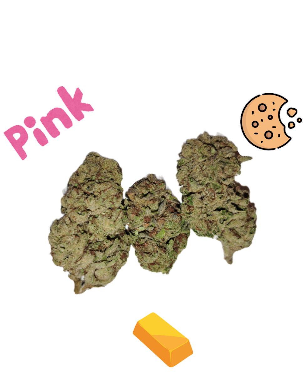 Pink Cookies-Gold Tier-THCa-Hybrid-Street Special