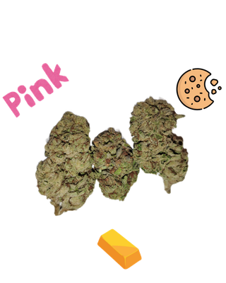 Pink Cookies-Gold Tier-THCa-Hybrid-Street Special