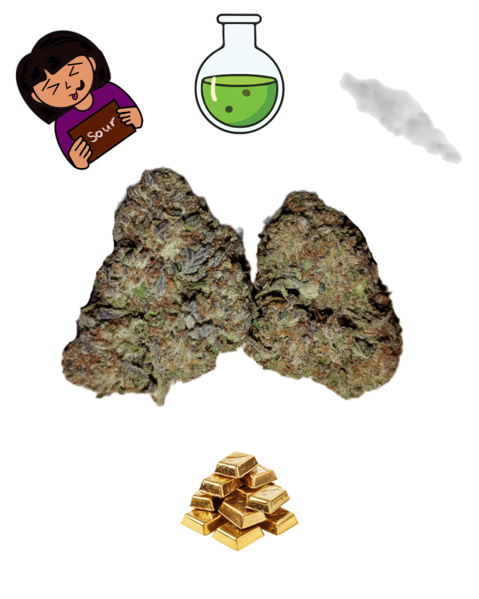 Sour Chem Haze-Gold Tier-THCa-Sativa