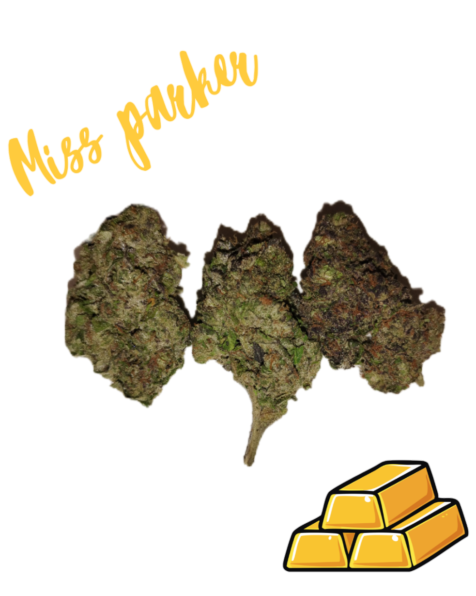 Miss Parker- Gold Tier-THCa(Hybrid)