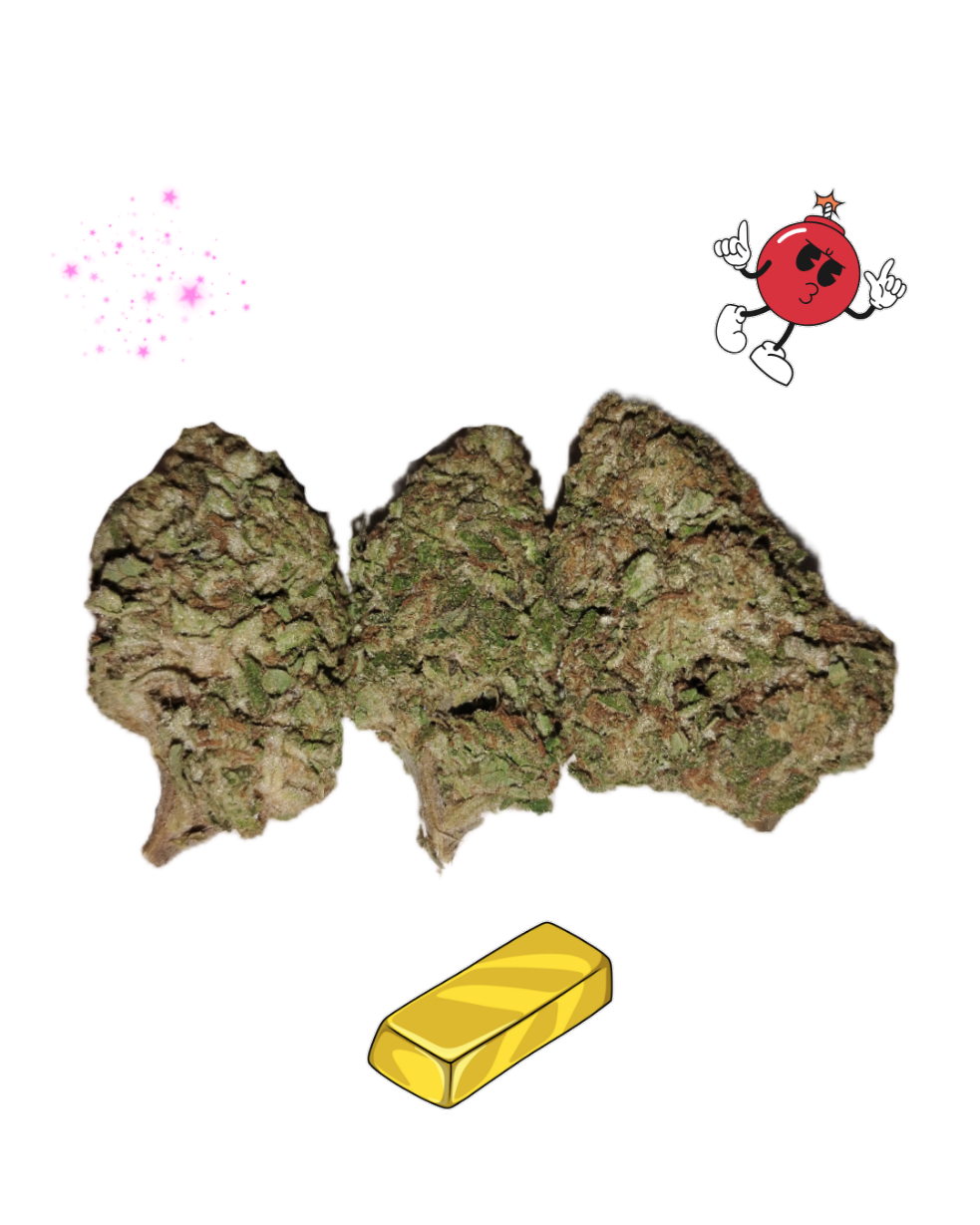 Glitter Bomb-Gold Tier-THCa(I)