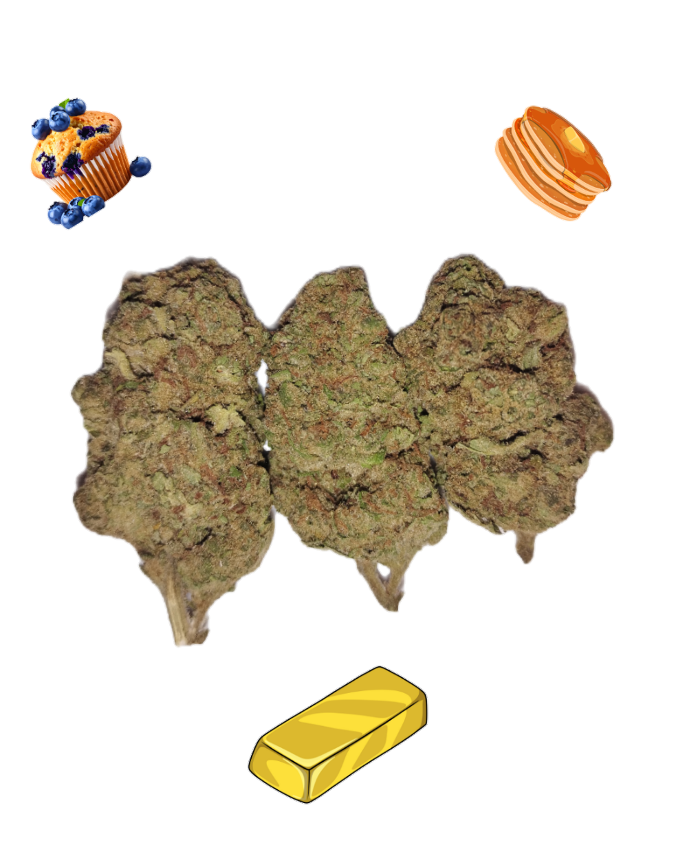 Blueberry Pancakes-Gold Tier-THCa(Indica)